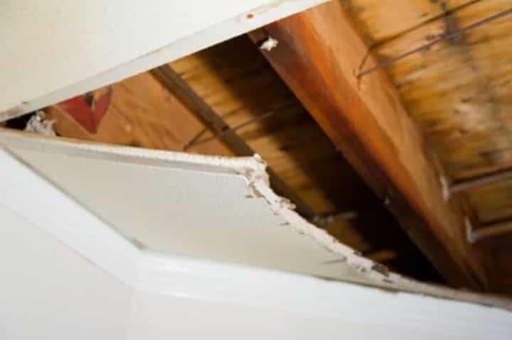 Sebastian Atlantic Remediation Sebastian, FL (772) 413-0907